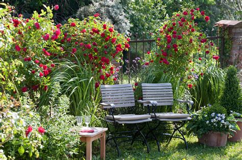 Beautiful Small Backyard Garden With Climbing Roses Also Minimalist
