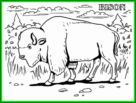 But for how much longer? Coloring Pages Endangered Animals in 2020 | Animal coloring pages, Coloring pages, Animal ...
