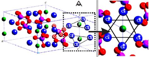 A A General View Of Apatite Structure Uoroapatite Including Ca