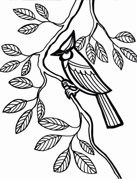 Check out our kids coloring sheets selection for the very best in unique or custom, handmade pieces from our coloring books shops. Cardinal Bird Come To Rest Under Tree Leaves Coloring Page ...