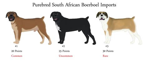 South African Boerboel Imports Open By Xmush Kennelsx On Deviantart