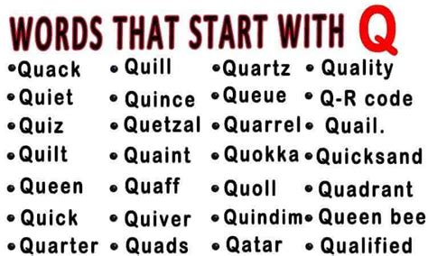 Learn Vocabulary Words That Start With Q