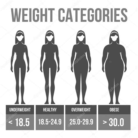 Woman Body Mass Index Stock Vector By In Finity