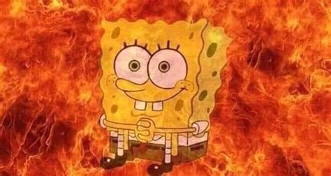 Top 20 Funny 【spongebob In Fire】 Images