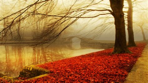 Autumn Wallpaper Hd ·① Download Free Wallpapers For