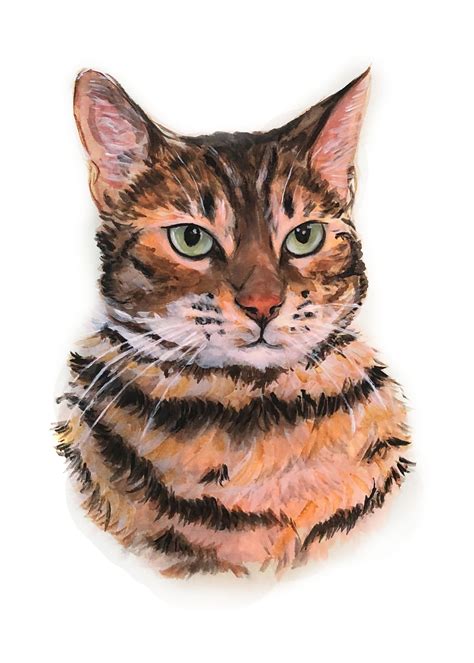 Cat And Dog Portrait Custom Watercolor Painting Commissioned Cat