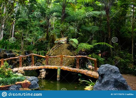 A Bamboo Bridge Beside The Waterfall Mudal Stock Image Image Of