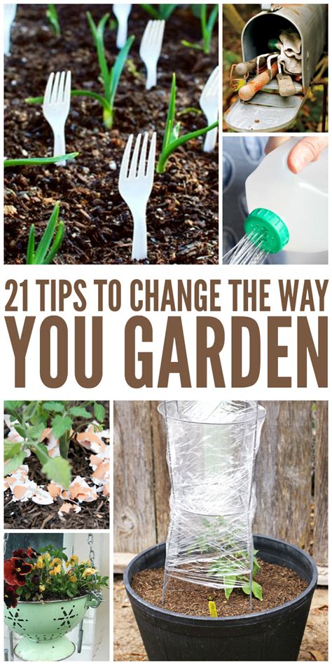 21 Tricks That Will Change The Way You Garden