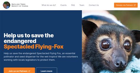 Save The Endangered Spectacled Flying Fox — Bats And Trees Society Of