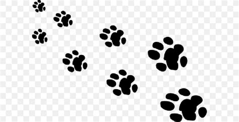 Giant Panda Bear Paw Animal Footprint Png 600x420px 2017 Giant