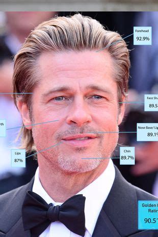 Brad Pitt S Face Shape