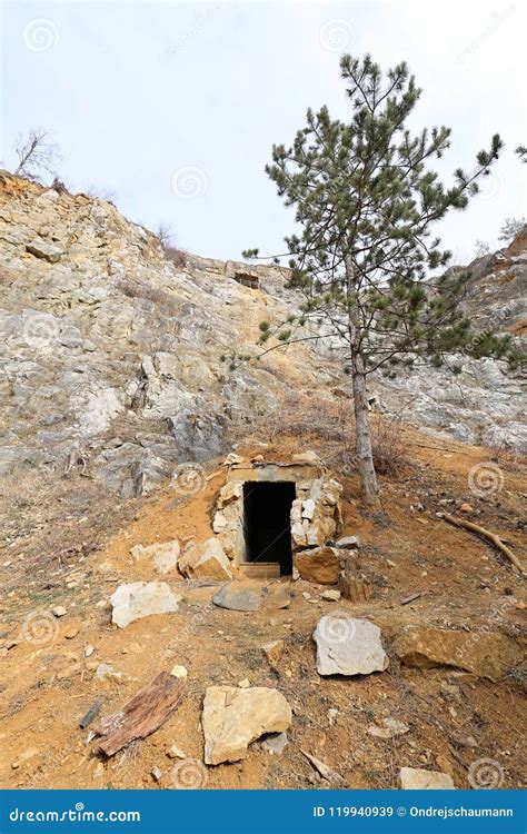 Old Mining Shaft Door With The Tree Stock Image Image Of Large Pine