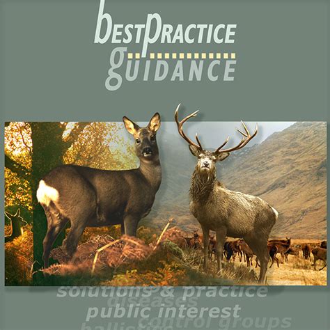 Downloads Wild Deer Best Practice Guidance