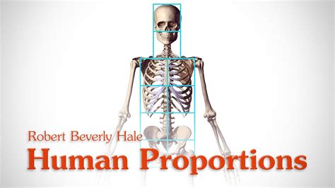 Human Figure Proportions Cranial Units Robert Beverly Hale Youtube