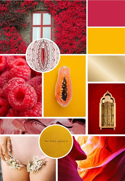 les albrecht branding mood board women s health for all women red and yellow aesthetic