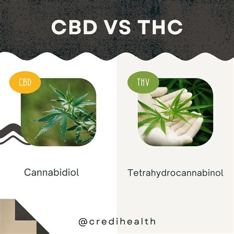 Cbd Vs Thc Understanding The Differences And Benefits Credihealth
