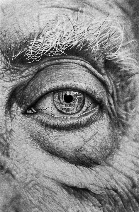 Realistic Pencil Drawings Old Man Portrait Eye Drawing