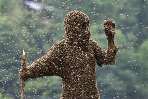 10 Species Known For Massive Swarms