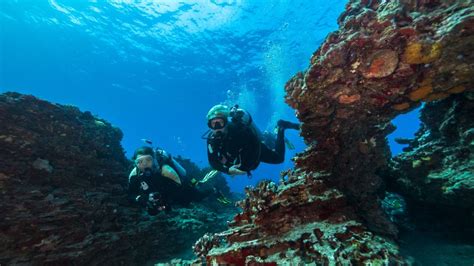 Oahu Waikiki Discovery Scuba Diving For Beginners