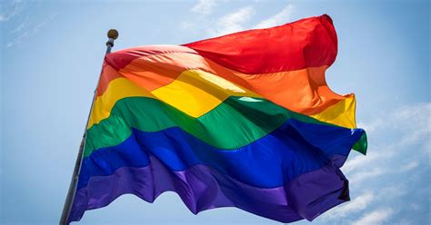 Since demisexuality exists on the asexual spectrum, the colors are similar to the asexual flag, though it does purple circle: What Do The Colors In The Pride Flag Stand For? It's A ...