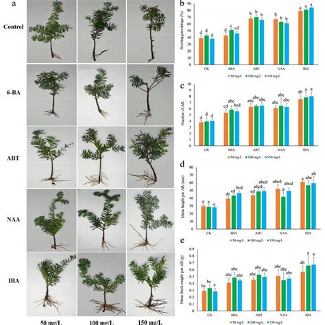 Effect Of Different Hormones Application On Ar Development And Growth