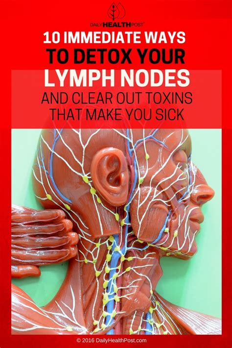 10 Immediate Ways To Detox Your Lymph Nodes And Clear Out Toxins That
