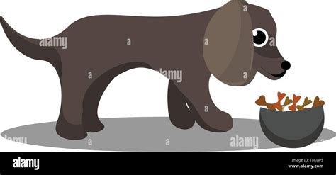 This Is An Image Of Dog Eating Food Vector Color Drawing Or