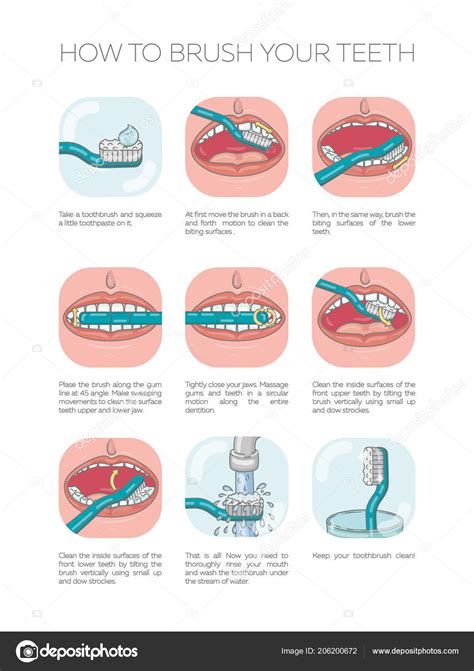 How Brush Your Teeth Vector Infographic Template Flat Illustration