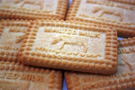 Malted Milk Biscuits Nibble My Biscuit