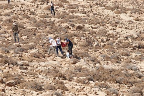 Israeli Settlers Assault Pro Palestine Activists Shepherds Near Jericho