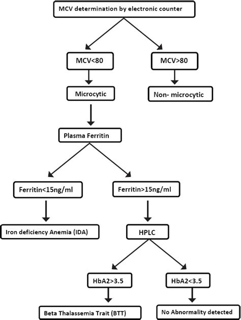 Algorithm for mass screening of blood donors for IDA and ...