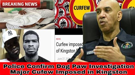Breaking Police Confirm Findings Dog Paw Questioning After Sh00ting