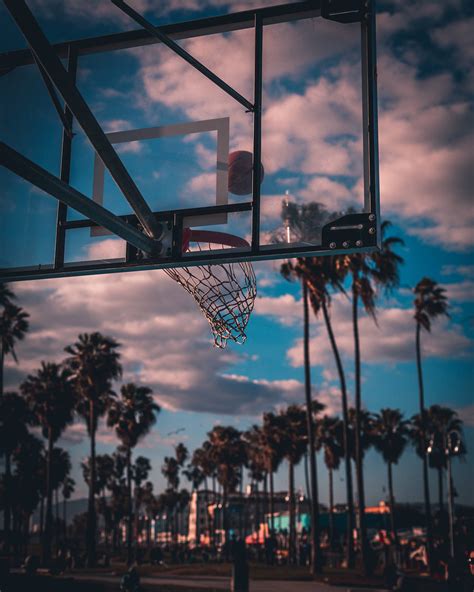 Download Palm Tree Sunset Basketball Hoop Wallpaper
