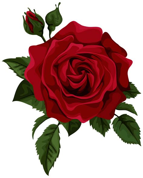 Red Rose Transparent Clip Art Library