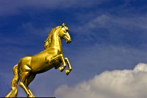 Golden Horse By Christophmaier On Deviantart