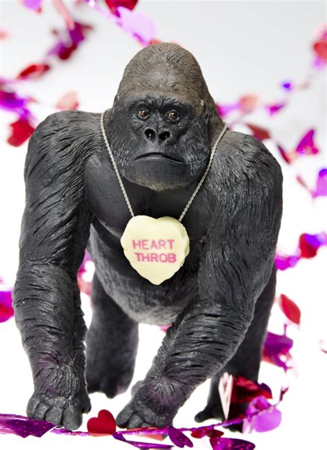 Gorilla Heart Throb By The Memorable Image Cardly