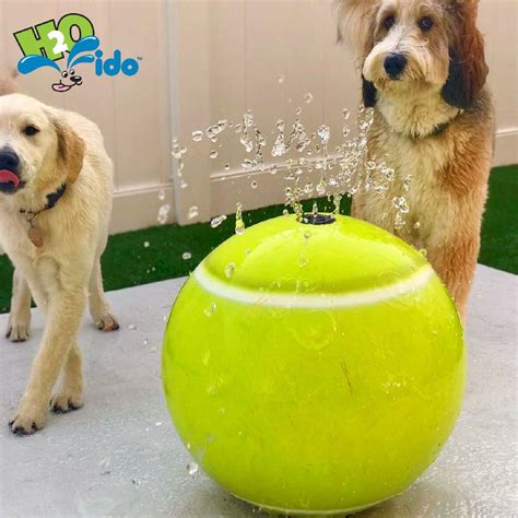 H2o Fido Has Lots Of Fun Misting And Water Play Features Like Our