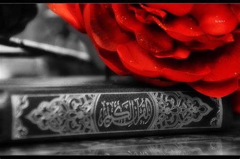 Here you can find the best holy quran wallpapers uploaded by our community. Quran Wallpapers - Wallpaper Cave
