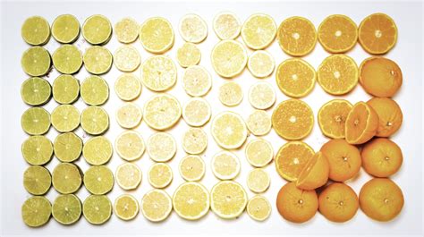 In a Nutshell, your whole life in a video | Collater.al