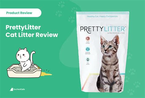 Prettylitter Cat Litter Review Of 2024 Recalls Pros And Cons Catster