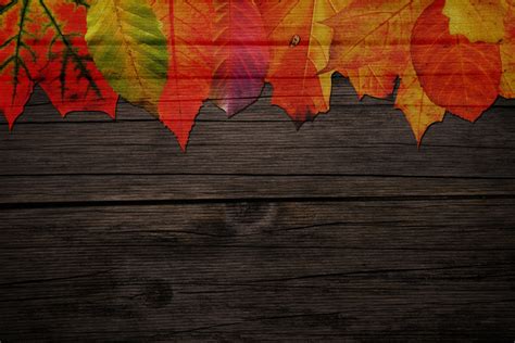 Leaves On Wood Background Free Stock Photo Public Domain Pictures