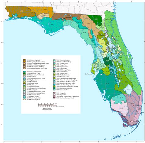 Geologic Map Of Florida Osiris New Dawn Map