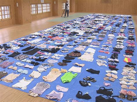 người đàn ông bị bắt vì tình nghi ăn cắp hơn 700 chiếc quần áo lót của phụ nữ nhật báo calitoday