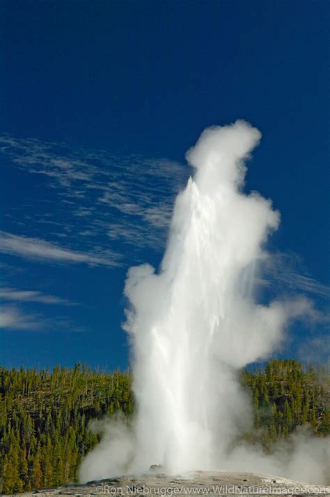 old faithful geyser yellowstone national park wyoming photos by ron niebrugge