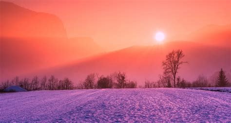 무료 이미지 겨울 눈 해돋이 일몰 그림 물감 화려한 아름다운 목초지 경치 풍경화 산들 안개 태양