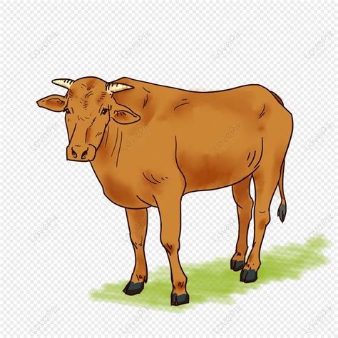 Frightening Cattle Png Images With Transparent Background Free