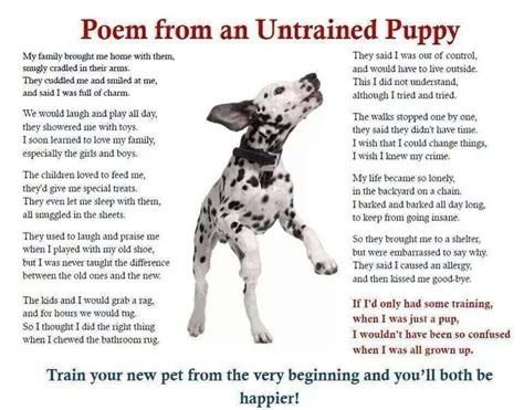 Poem From An Untrained Puppy Puppies Poems Man And Dog