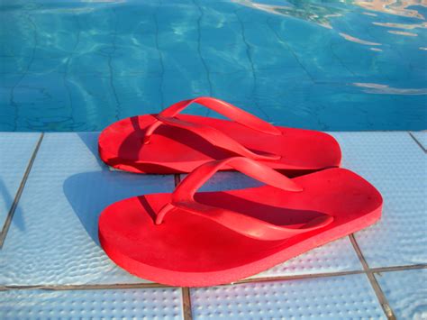 Free Flip Flop Sandals Photos And Pictures Freeimages