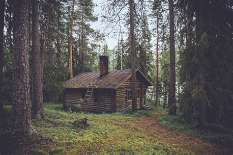 Free Images Tree Forest Wilderness Wood House Building Hut