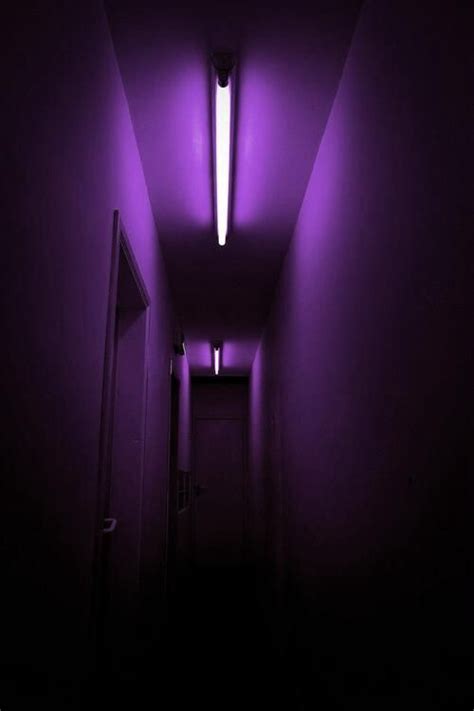The Hallway Is Lit Up With Purple Light And There Are Two Lights On Either Side